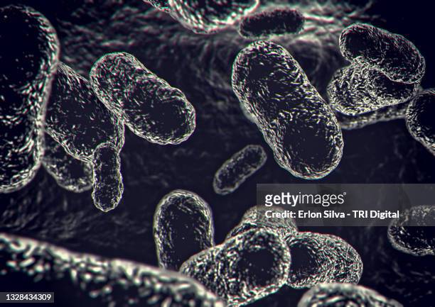 microscopic view of bacteria or virus moving in a living organism - virus organism stock-fotos und bilder