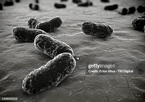 macro view of bacteria on the skin - mycobacterium tuberculosis bacteria stockfoto's en -beelden