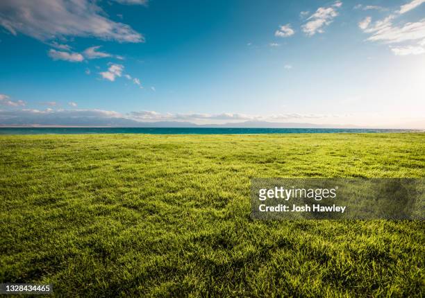 outdoor grass - diminishing perspective - fotografias e filmes do acervo