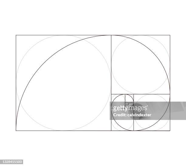 illustrations, cliparts, dessins animés et icônes de modèle de conception de modèle de fibonacci du nombre d’or - spirale