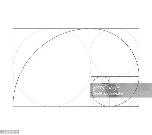 golden ratio fibonacci pattern design template - fibonacci pattern stock illustrations