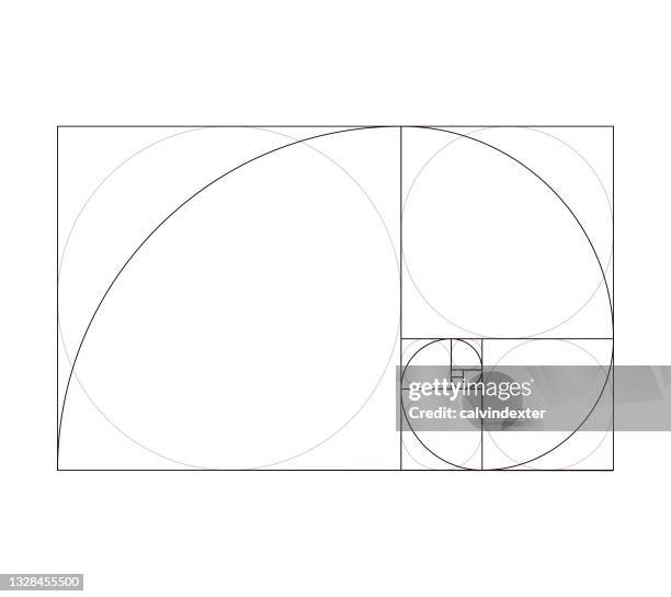 golden ratio fibonacci pattern design template - fibonacci stock illustrations