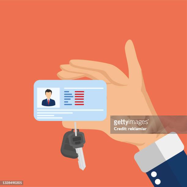 close-up of hands of person holding driver's license and car key. photo driver's id card. car license concept. vector illustration in flat style. - identity card stock illustrations