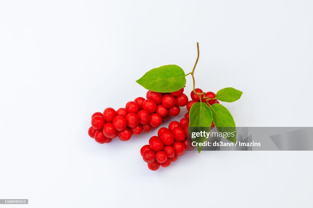 Fruit of Schisandra Chinensis