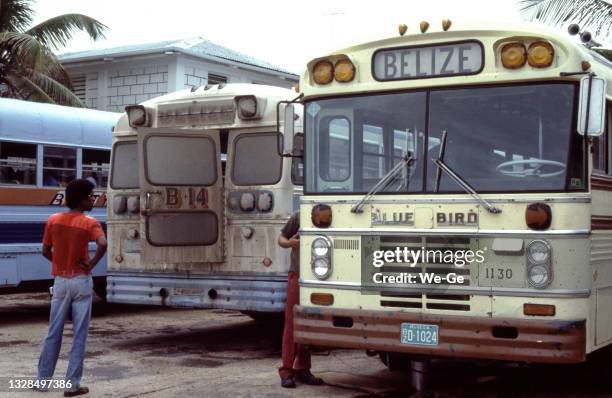 bus station in mexico with blue bird public bus - 1980 stock pictures, royalty-free photos & images