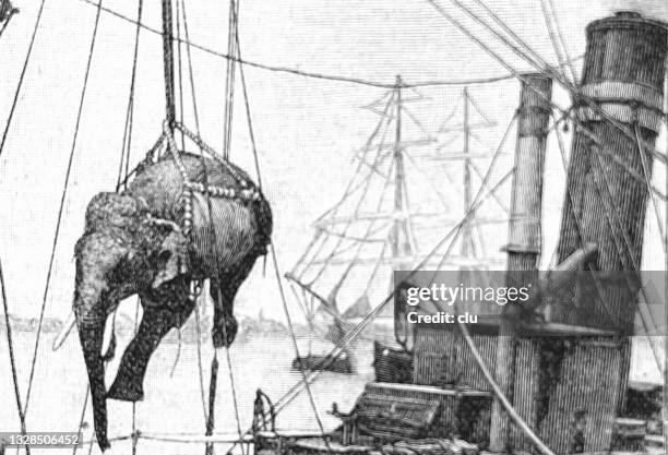 3,410 Cartoon Ship Photos and Premium High Res Pictures - Getty Images 3,410 Cartoon Ship Photos and Premium High Res Pictures - Getty Images