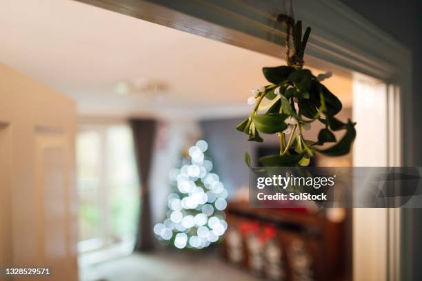 under the mistletoe - mistletoe doorway stock pictures, royalty-free photos & images