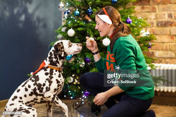 everyone gets treated at christmas - patience cleveland stock pictures, royalty-free photos & images