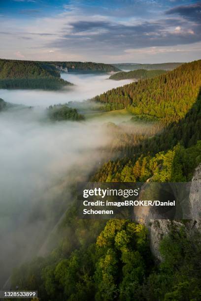 view from eichfelsen with morning fog, sunrise, near irndorf, upper danube nature park, upper danube valley, danube, swabian alb, baden-wuerttemberg, germany - donau vallei stockfoto's en -beelden