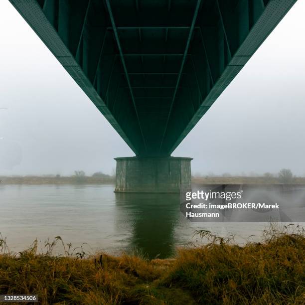 the --knybawski-- bridge over vistula river, symmetry, bottom view, tczew, dirschau, pomerania, poland - dirschau stock pictures, royalty-free photos & images
