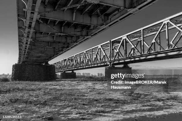 the --lisewski-- or --tczewski-- bridge over the vistula river. b&w, bottom view, tczew, dirschau, pomerania, poland - dirschau stock-fotos und bilder