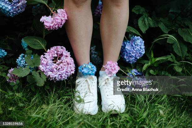 female legs with white sneakers and pink and blue hydrangea flowers in green summer garden - hydrangea lifestyle stockfoto's en -beelden