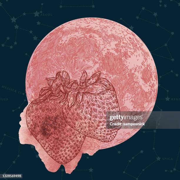 lunar month of june strawberry moon - moon stock illustrations