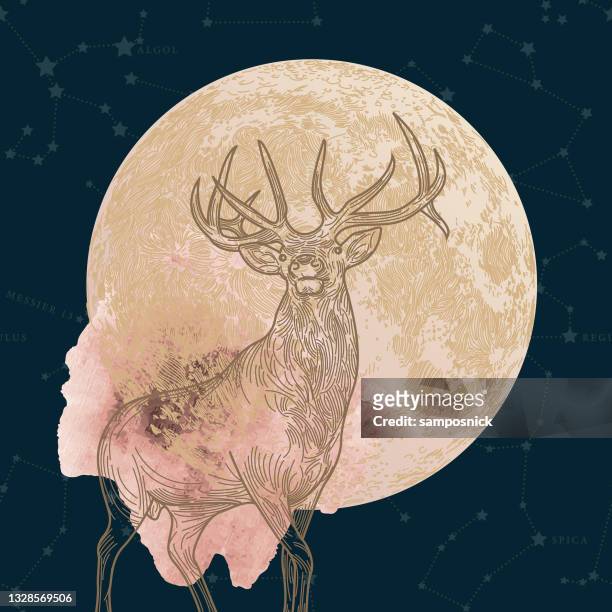stockillustraties, clipart, cartoons en iconen met lunar month of july buck moon - stag