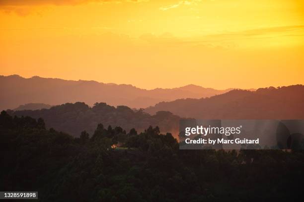 sunset over bwindi impenetrable national park, uganda - uganda stock-fotos und bilder