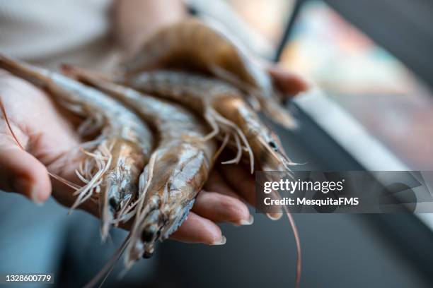 raw shrimp hands - garnaal vis en zeevruchten stockfoto's en -beelden