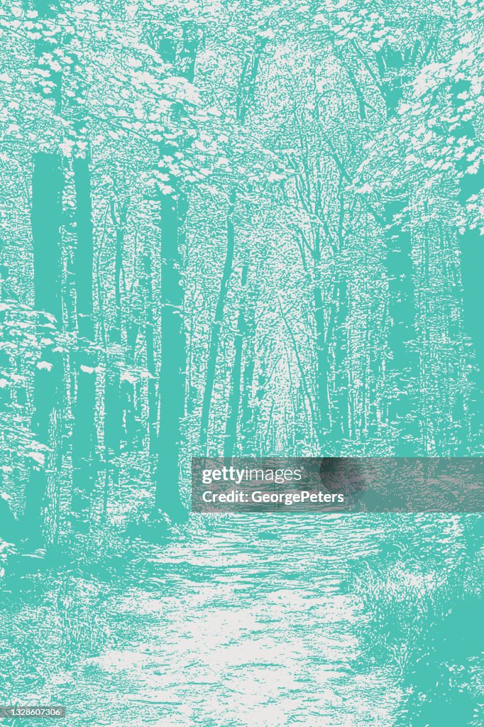 Foothpath Vector Forest Footpath High-Res Vector Graphic - Getty Images