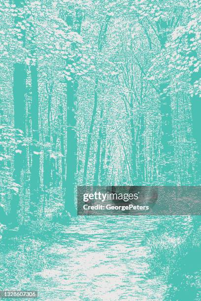 forest footpath - pine tree engraving vector stock illustrations