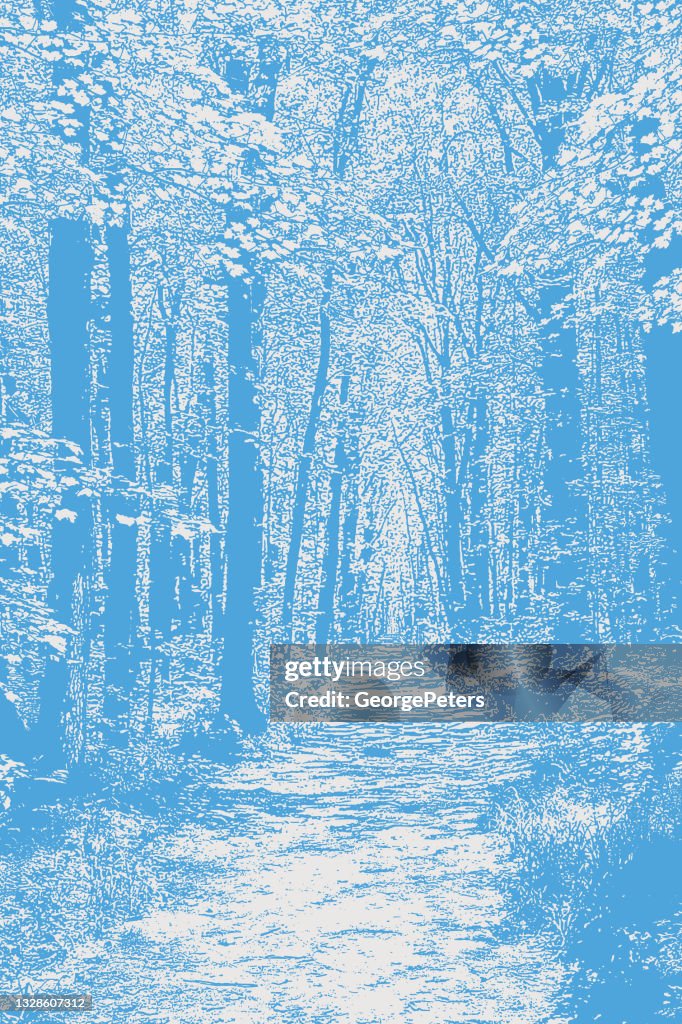 Foothpath Vector Forest Footpath High-Res Vector Graphic - Getty Images