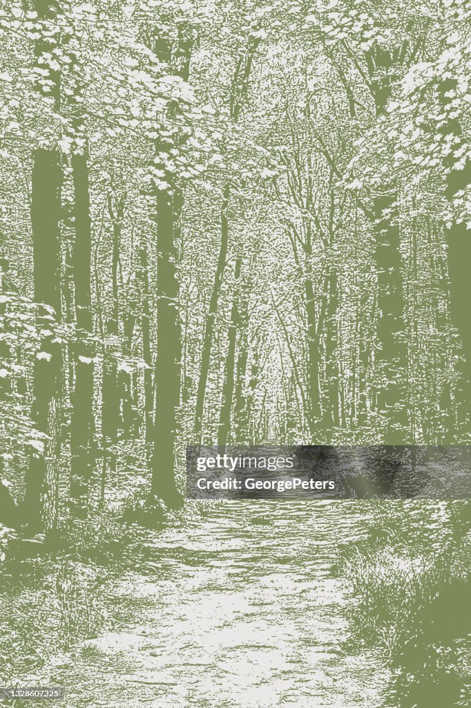 Foothpath Vector Forest Footpath High-Res Vector Graphic - Getty Images
