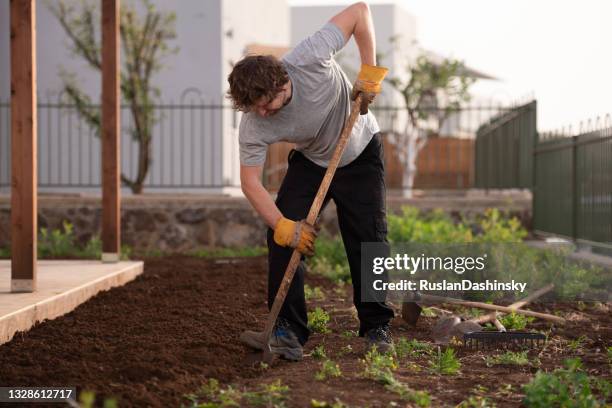 plowing the land. digging earth with shove. - plough stock pictures, royalty-free photos & images