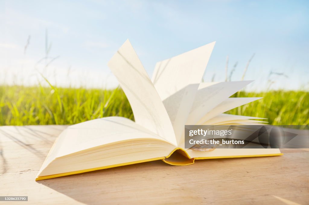 Still life of an open book with a shell as a bookmark, pages open by wind