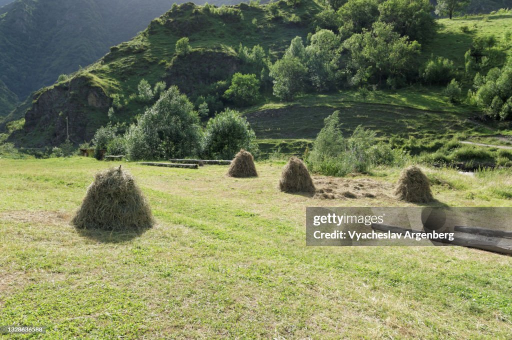 Mountain meadows in Shatili village, North Caucasus, Georgia