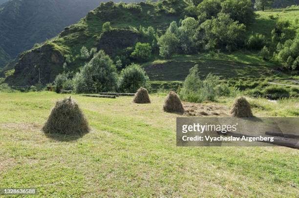 mountain meadows in shatili village, north caucasus, georgia - argenberg stock pictures, royalty-free photos & images