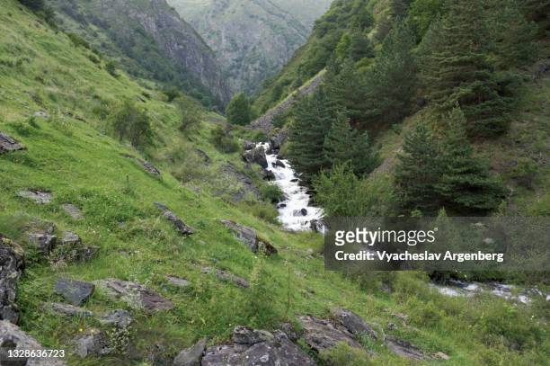 valley in the caucasus mountains, mountain stream, georgia - argenberg stock pictures, royalty-free photos & images