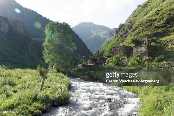 argun river, shatili, caucasus mountains, georgia - argenberg stock pictures, royalty-free photos & images