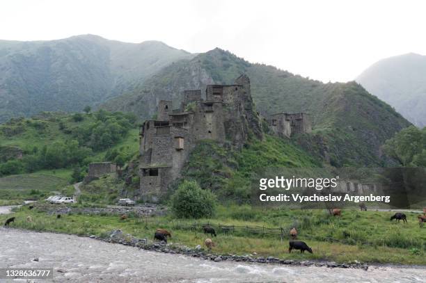 shatili fortified stone castle, north caucasus, georgia - argenberg stock pictures, royalty-free photos & images