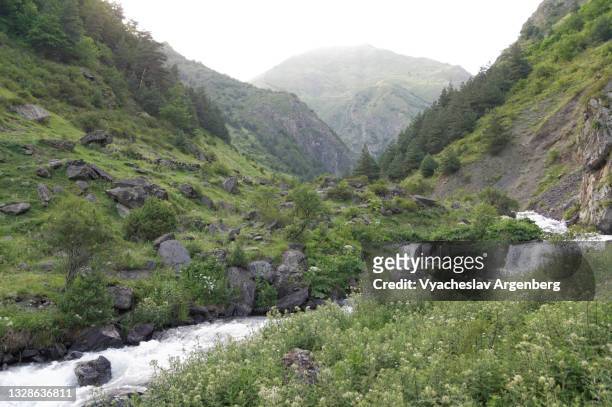 valley in the caucasus mountains, mountain stream, khevsureti, georgia - argenberg stock pictures, royalty-free photos & images