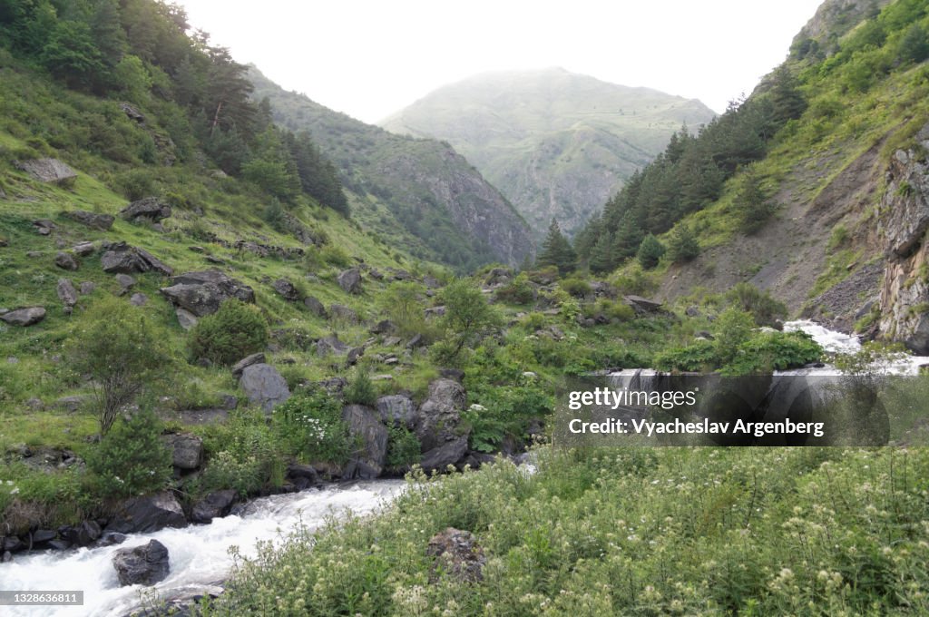 Valley in the Caucasus Mountains, Mountain stream, Khevsureti, Georgia