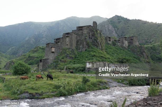 shatili fortress, khevsureti, georgia - argenberg stock pictures, royalty-free photos & images