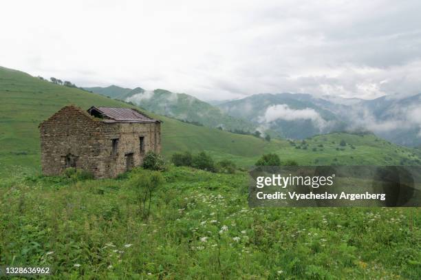 abudelauri valley, alpine meadows, north caucasus, georgia - argenberg stock pictures, royalty-free photos & images