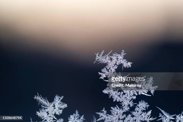 close-up of ice crystals or a frost flower on a frosted window. - つらら ストックフォトと画像