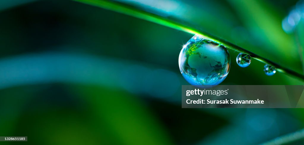 Renewable energy concept Earth Day or environment protection Hands protect forests that grow on the ground and help save the world.