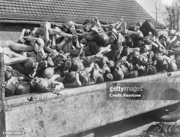 Stack of emaciated corpses piled up on a transport wagon, victims of Nazi Germany's effort to exterminate the Jewish population, political and social...