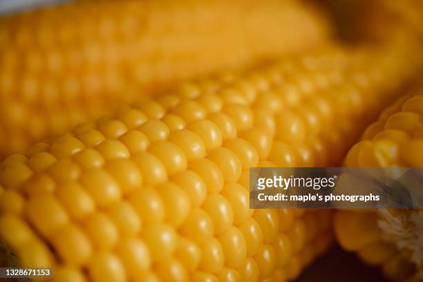 freshly boiled corn - suikermais stockfoto's en -beelden