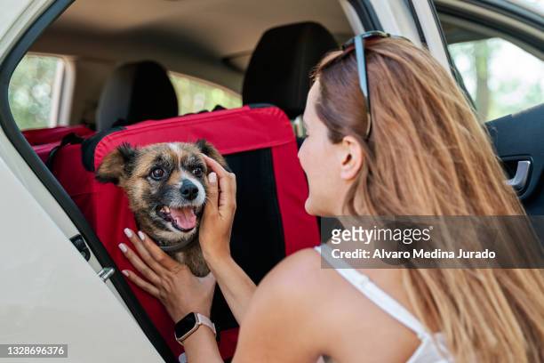 young woman petting her dog inside the car in a dog carrier. - pet carrier stock pictures, royalty-free photos & images