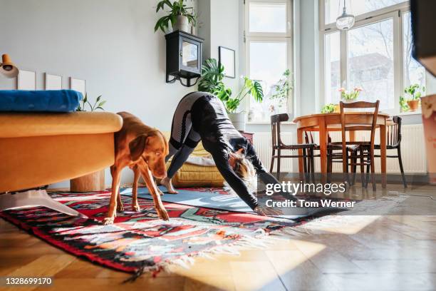 single mom doing yoga in living room at home - vizsla stockfoto's en -beelden