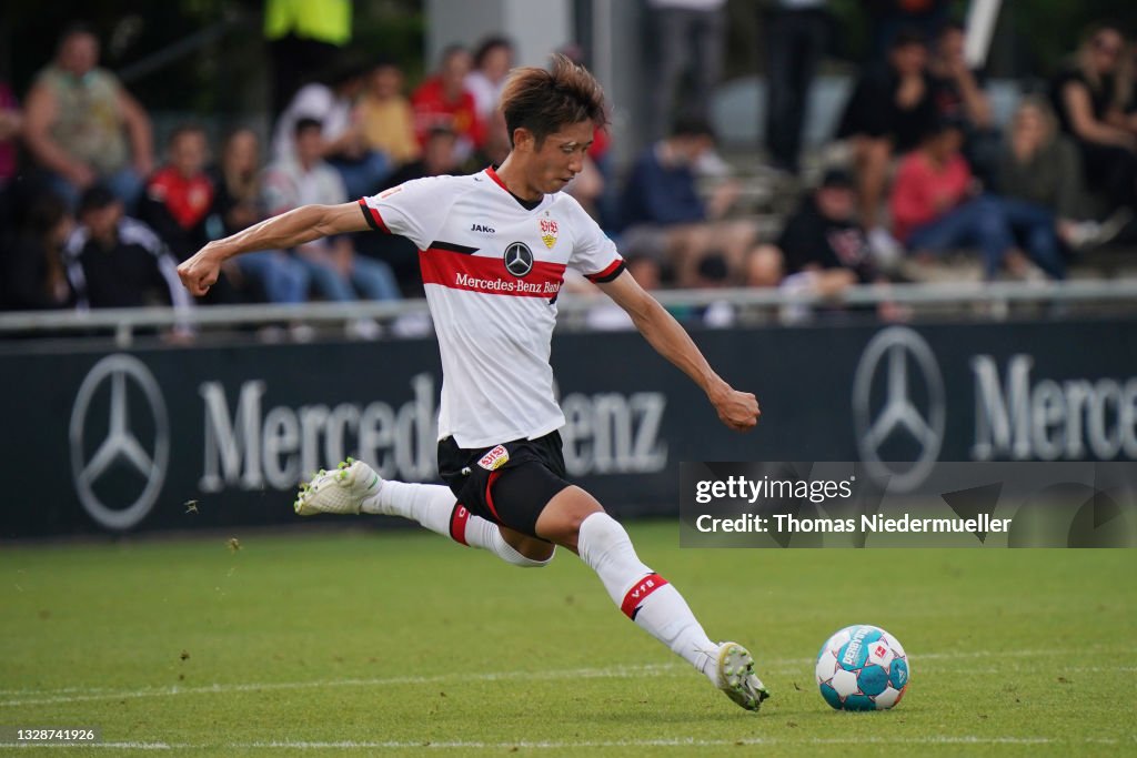 VfB Stuttgart v SV Darmstadt 98 - Pre-Season Friendly Bundesliga