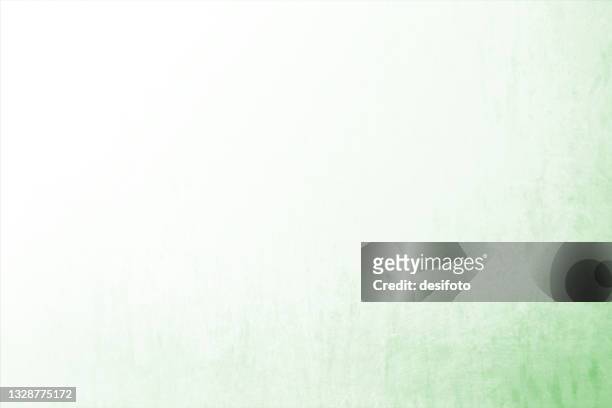 light pastel green and white coloured smudged faded wall textured ombre high key blank empty horizontal vector backgrounds - papyrus stock illustrations