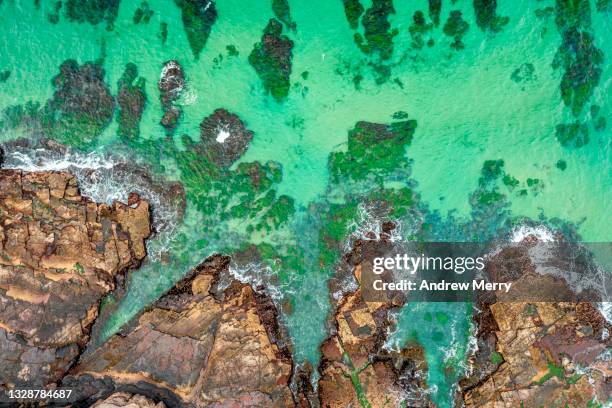 rocky coastline beach, turquoise sea, underwater rocks - meeresspiegelanstieg stock-fotos und bilder