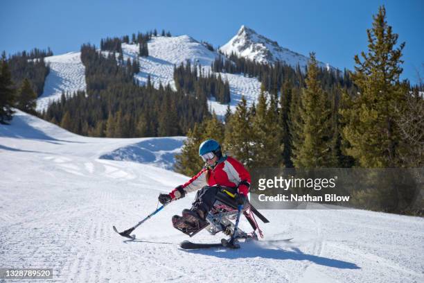 419 Monoski Stock Photos, High-Res Pictures, and Images - Getty Images