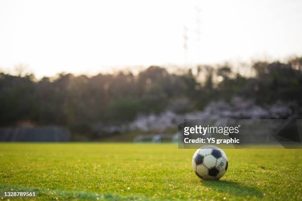 a soccer ball lying on the grass field. - fußball spielball stock-fotos und bilder