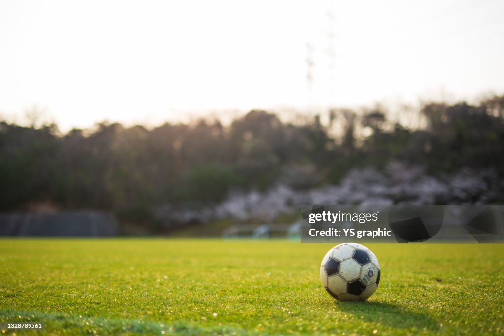 A soccer ball lying on the grass field.