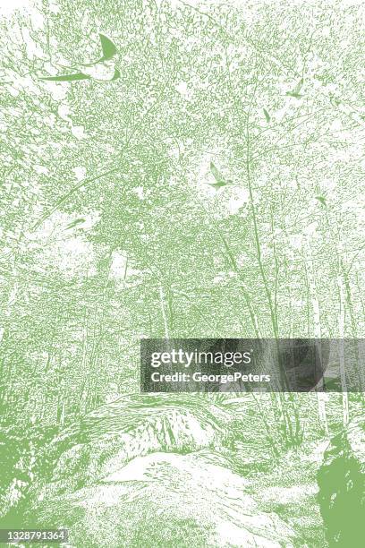 forest footpath - enchanted forest path stock illustrations