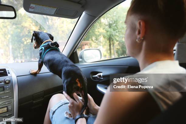 young woman travelling by car with cute dachshund - older couple travelling photos et images de collection