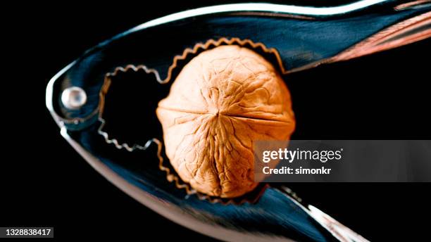 nutcracker cracking the shell of a walnut - nutshell stock pictures, royalty-free photos & images